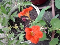 /album/galleria-foto-homepage/foto4-jpg/