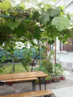 /album/galleria-foto-homepage/foto3-jpg/