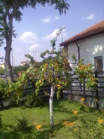 /album/galleria-foto-homepage/a23062012273-jpg/